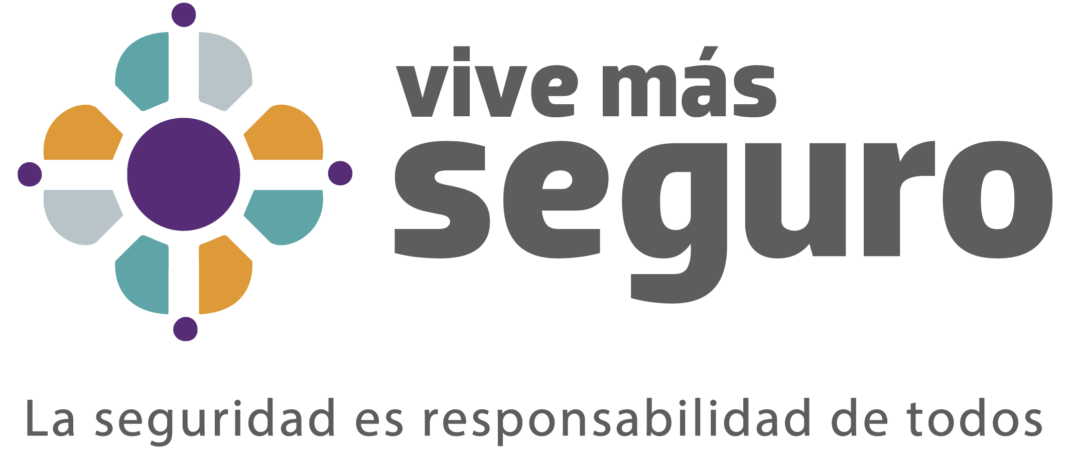 Vive Más Seguro