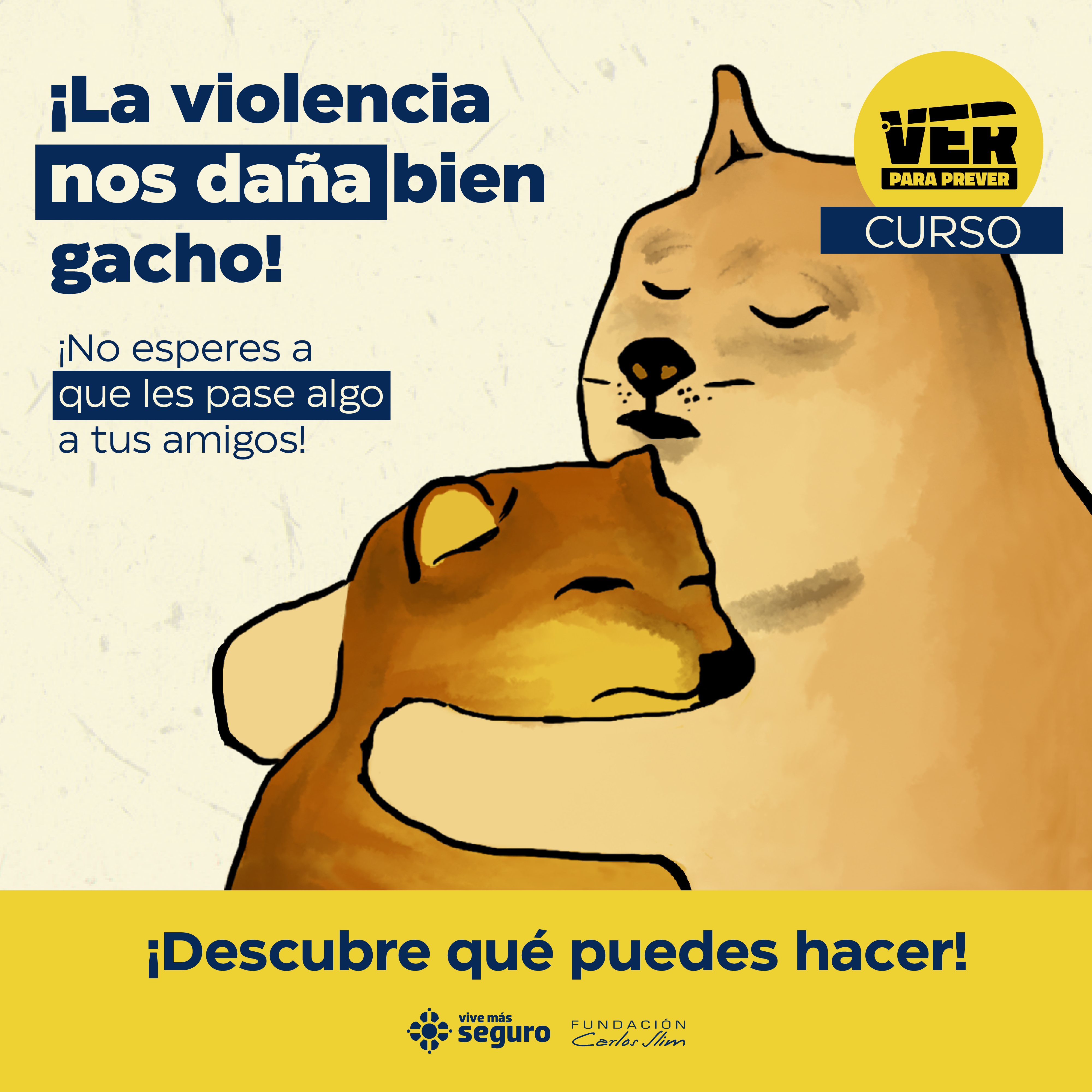 Curso Ver para prever